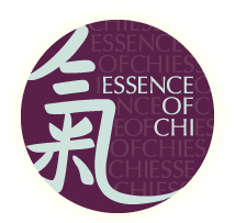 Essence of Chi perfumes and colognes