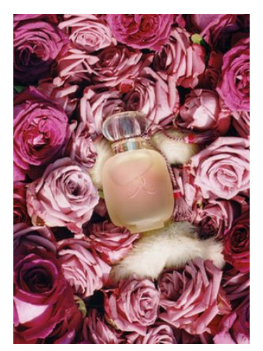 Les Parfums de Rosine Une Folie de Rose