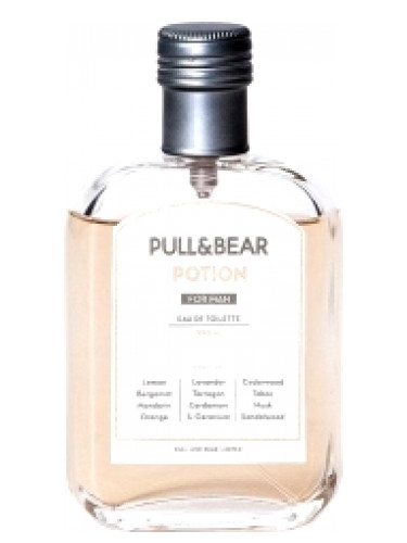 Pull and Bear Potion For Man