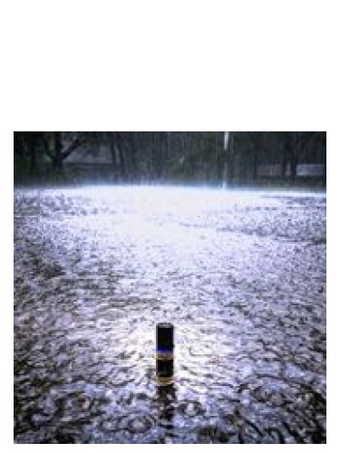 Solstice Scents During the Rain